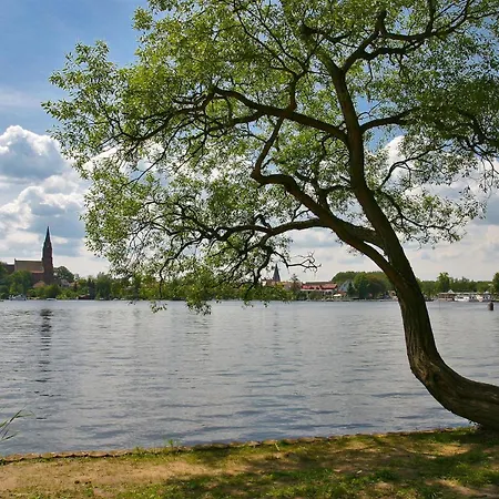 Unter Den Kiefern 93