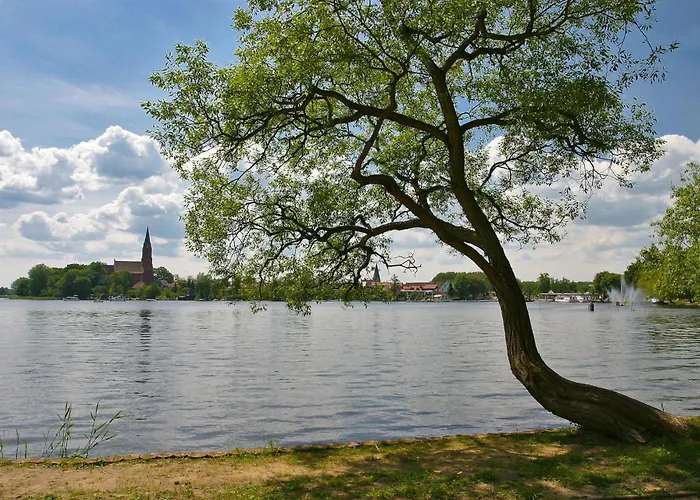 Unter Den Kiefern 93